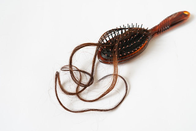 hairbrush with a strand of hair