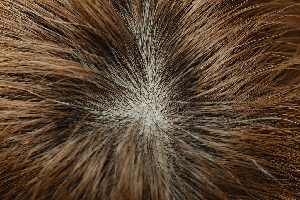 hair